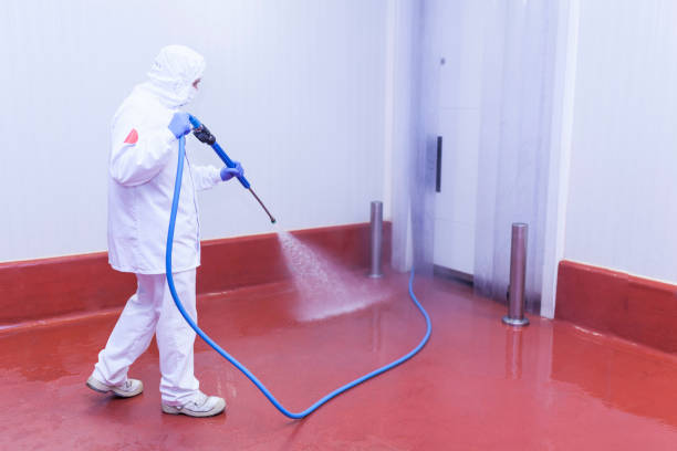 Best House Exterior Washing  in Valley Springs, CA